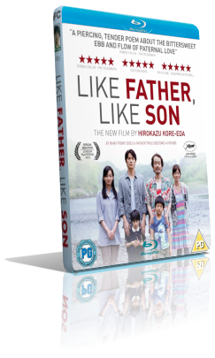 Father and Son (2013) FullHD 1080p ITA/AC3 5.1 (Audio Da DVD) JAP/AC3+DTS 5.1 Sub MKV
