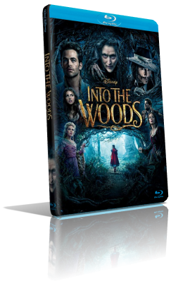 Into The Woods (2015) BDRip 576p ITA/AC3 5.1 (Audio Da DVD) ENG/AC3 5.1 Subs MKV