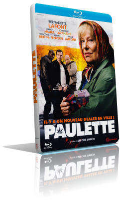 Paulette (2013) BDRip 576p ITA/AC3 5.1 (Audio Da DVD) ENG/AC3 5.1 Sub MKV