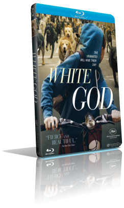 White God – Sinfonia per Hagen (2015) FullHD 1080p ITA/AC3 5.1 (Audio Da DVD) HUN/AC3 5.1 Subs MKV