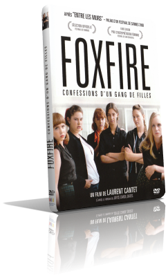 Foxfire – Ragazze Cattive (2013) Full DVD9 – ITA/Multi