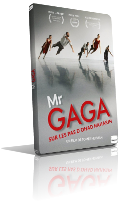Mr. Gaga (2015) DVD5 Compresso – ITA