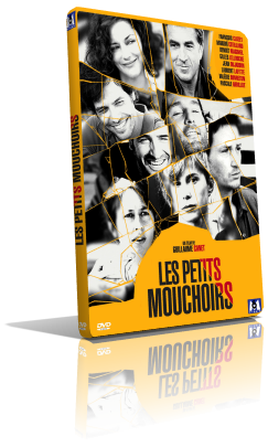 Piccole Bugie Tra Amici (2012) DVD5 Compresso – ITA
