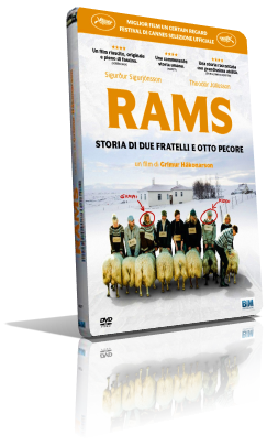 Rams – Storia di due fratelli e otto pecore (2015) Full DVD9 – ITA/ICE