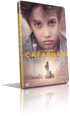 Cafarnao – Caos e miracoli (2019) DVD5 Compresso – ITA