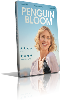 Penguin Bloom (2020) DVD5 Compresso – ITA