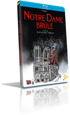 Notre-Dame in fiamme (2021) BDRip 576p ITA/AC3 5.1 (Audio Da WEBDL) FRE/AC3 5.1 Subs MKV