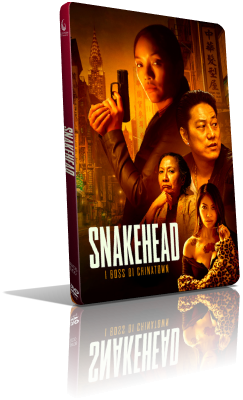Snakehead – I boss di Chinatown (2021) DVD5 Compresso – ITA