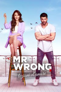 Mr. Wrong – Lezioni d’amore