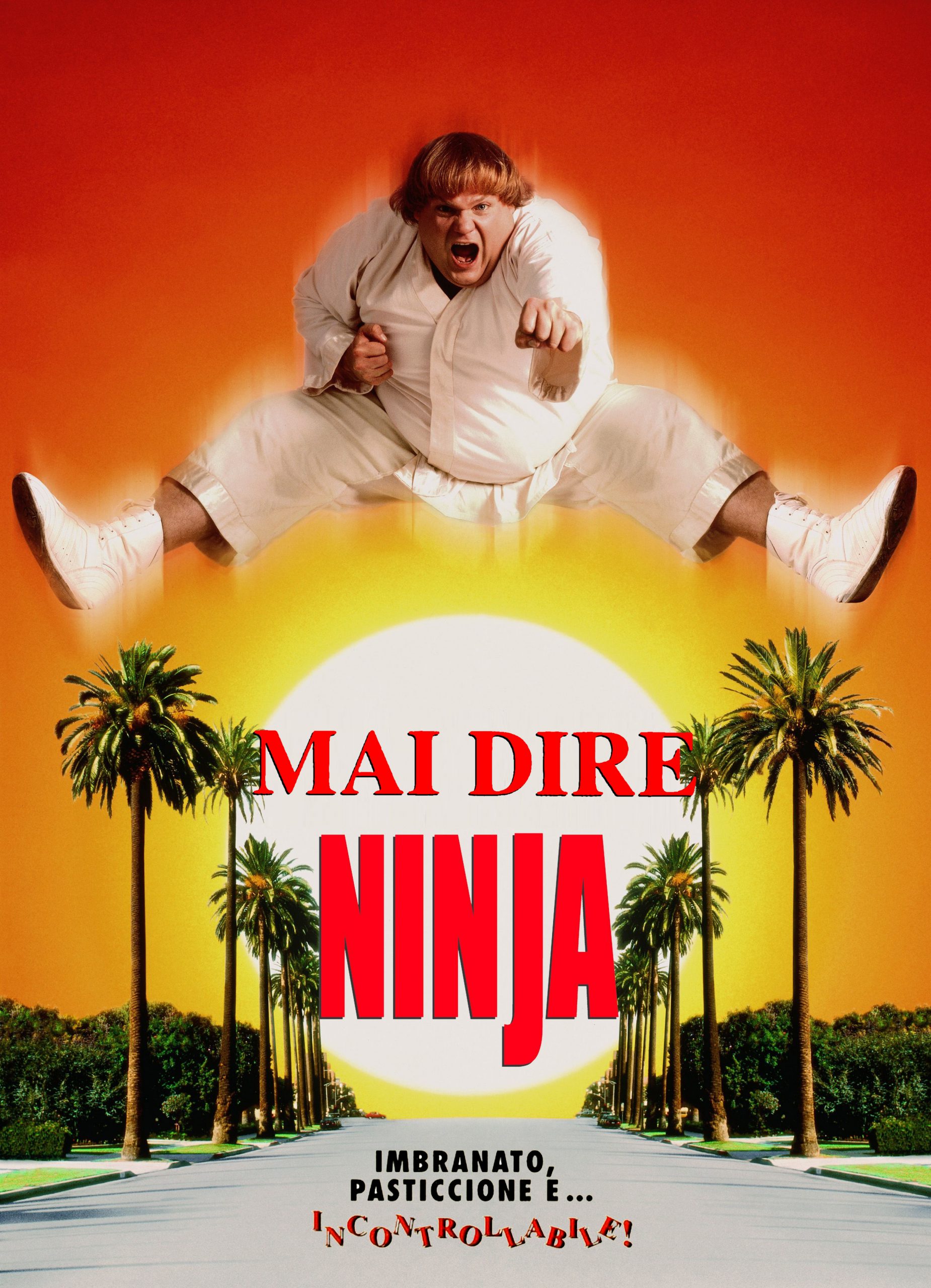 Mai dire ninja [HD] (1997)