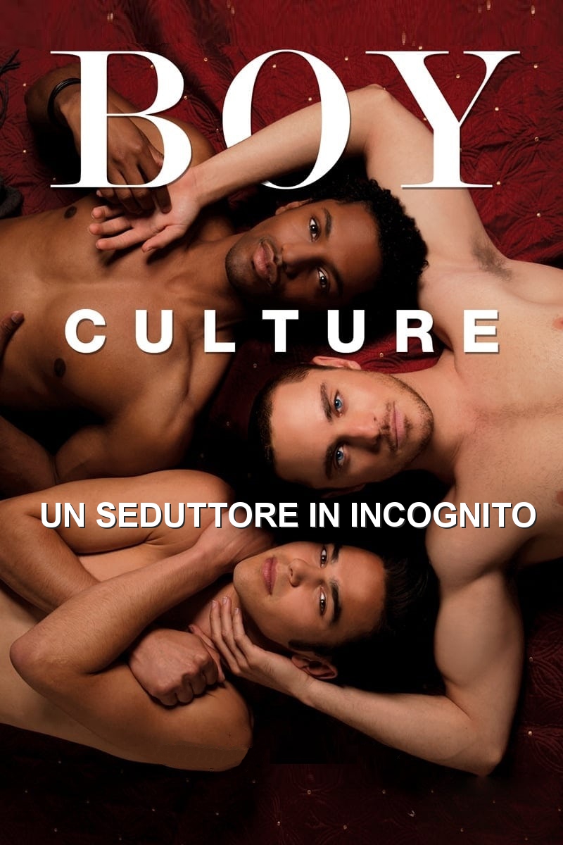 Boy Culture – Un seduttore in incognito (2006)