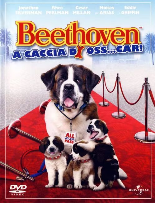 Beethoven 6 – A caccia di Oss… car! (2008)