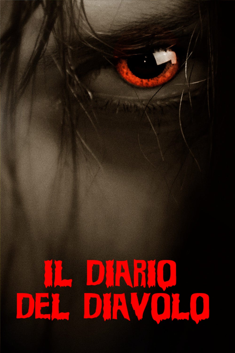 Il diario del diavolo (2007)