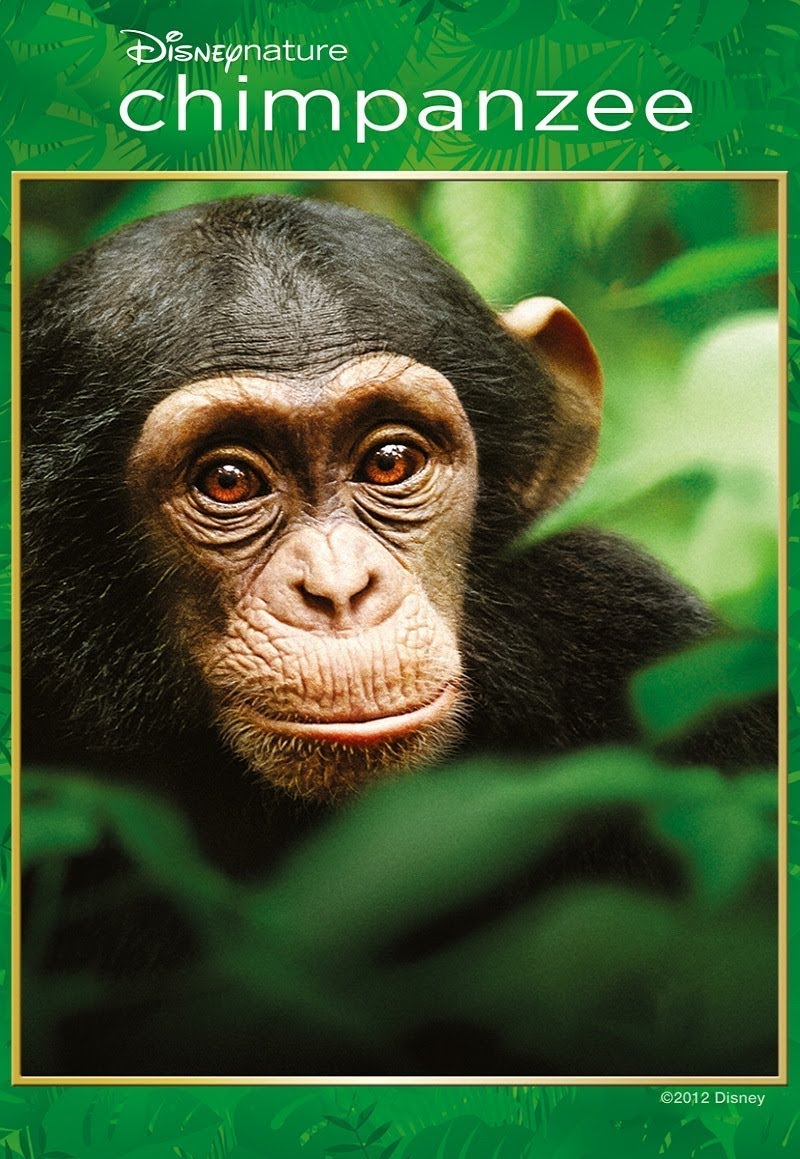 Chimpanzee [HD] (2012)