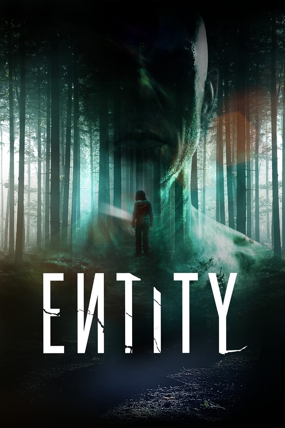 Entity [Sub-ITA] (2012)