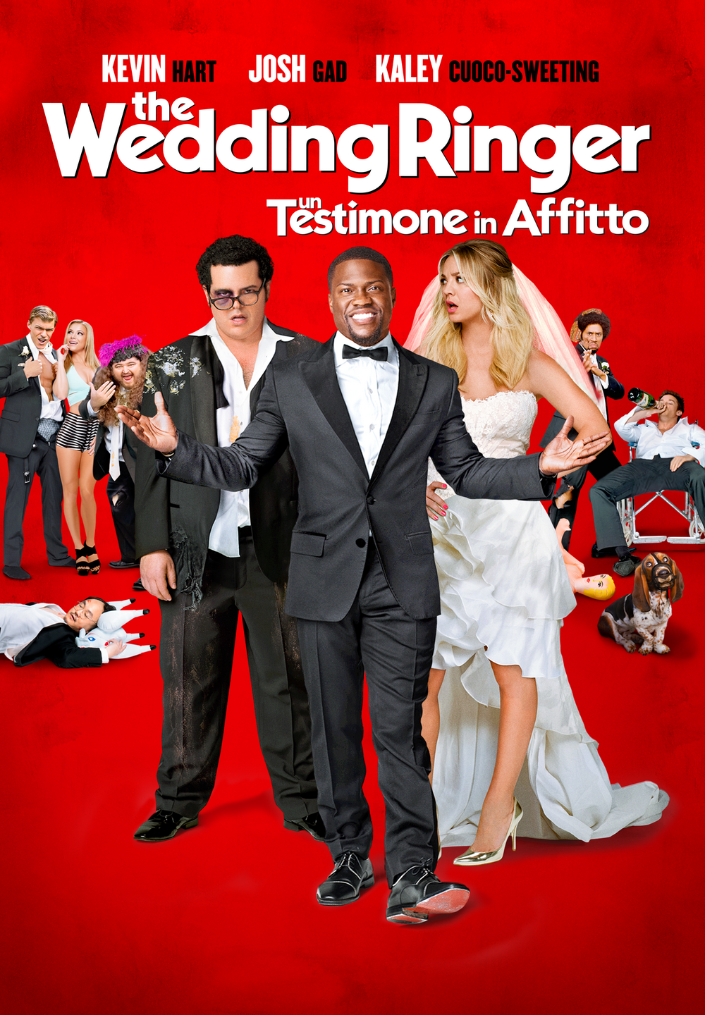 The Wedding Ringer – Un Testimone In Affitto [HD] (2015)