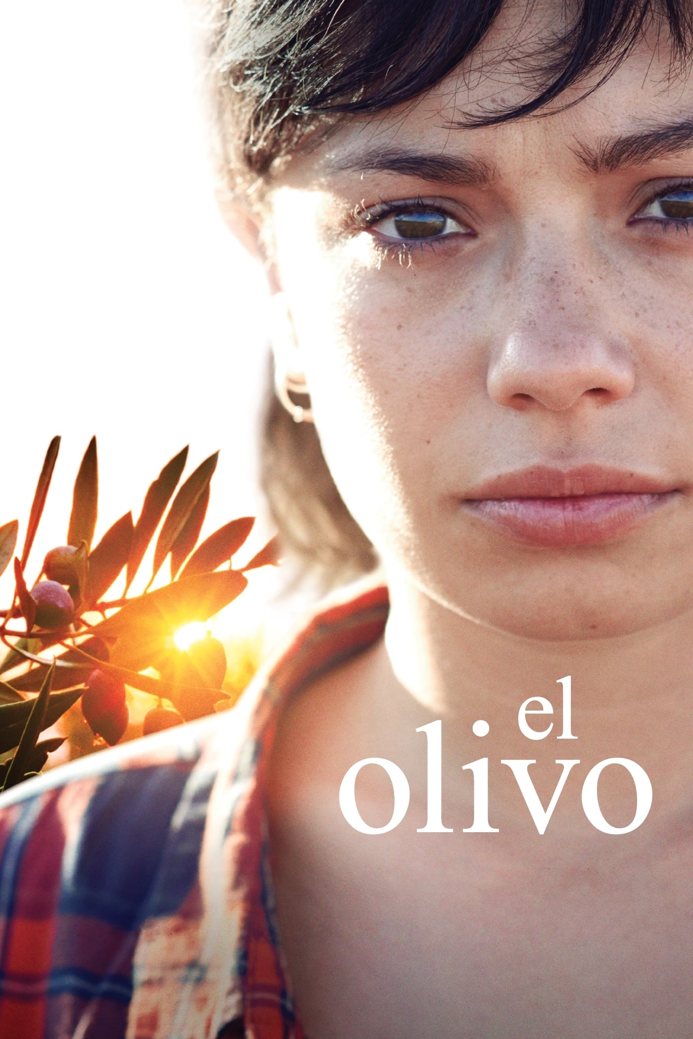 El olivo [Sub-ITA] (2016)