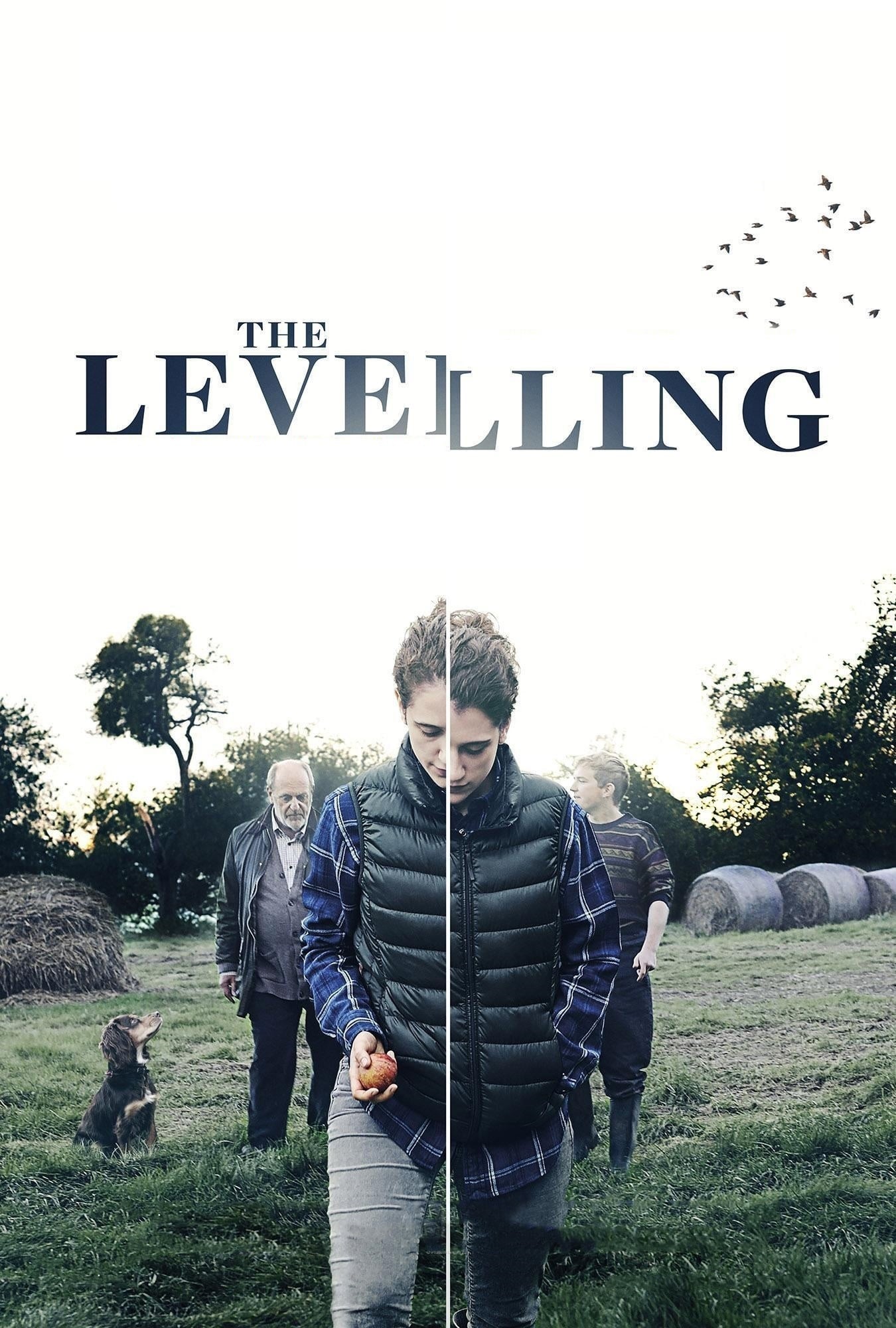 The Levelling [Sub-ITA] (2016)