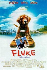 Fluke [HD] (1995)
