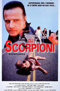 Gli scorpioni (1994)