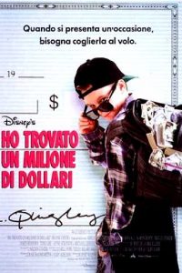 Ho trovato un milione di dollari (1994)