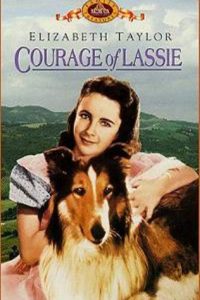 Il coraggio di Lassie (1946)