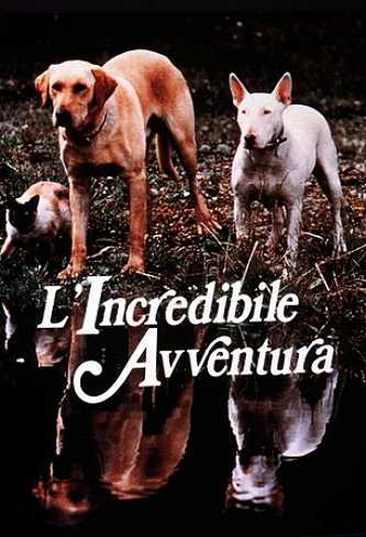 L’incredibile avventura [HD] (1963)