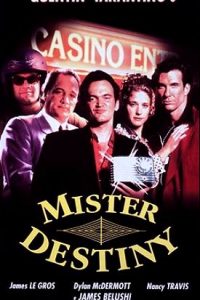 Mister Destiny [HD] (1995)