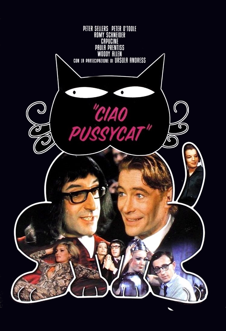 Ciao Pussycat (1965)