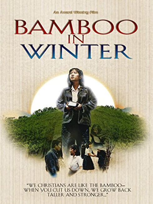Come bambù d’inverno (1991)