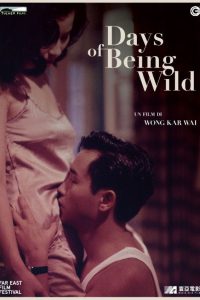 Days of Being Wild (1990)